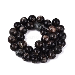 Perles naturelles biotite brins&nbsp;G-Q616-01E