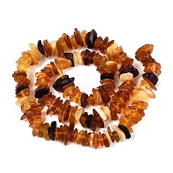 Perles d'ambre naturel brins&nbsp;G-N371-22A-01