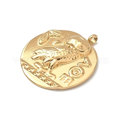 Pendentifs en forme de pièces en acier inoxydable 304&nbsp;STAS-K252-19G