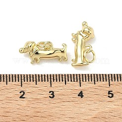 Pendente in ottone&nbsp;LS-KK-G555-01G-02