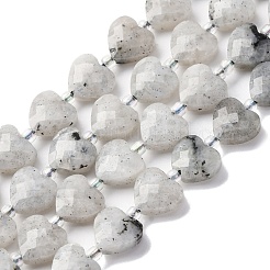 Природные лабрадорита бисер нитей G-P570-E18-01