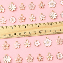 40шт 10 стиля сплава эмалевые подвески&nbsp;ENAM-FS0002-33