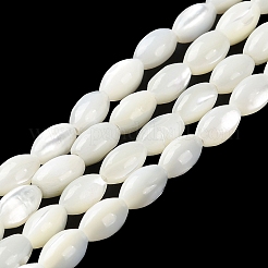 Natürliche Trochusmuschelperlenstränge&nbsp;X-BSHE-E030-02C