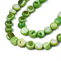 Нити бусин из натуральных трохоидных/трохус ракушек SHEL-S258-083-B05