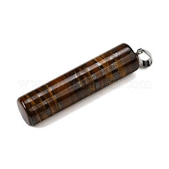 Große Anhänger aus natürlichem Tiger-Eisen&nbsp;G-F820-11F