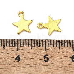 Aluminium Anhänger & Charms&nbsp;PALLOY-F321-01B-G