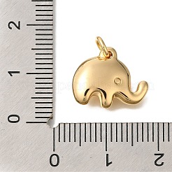 Латунные подвески KK-K388-51G