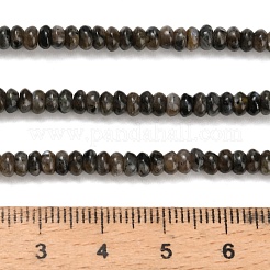 Натуральные нити бус из ларвикита G-Z110-B19-2x4mm