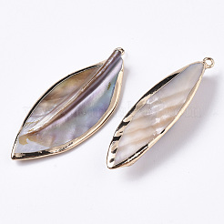 Естественных пресноводных оболочки большие кулоны SHEL-R048-09