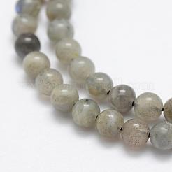 Chapelets de perles en labradorite naturelle &nbsp;G-P322-29-4mm