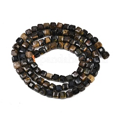 Природных тигровый глаз бисер нитей&nbsp;G-P612-B02-01