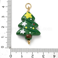 Рождество ручной работы Lampwork подвески STAS-C147-03B