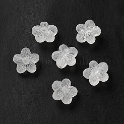 Perles en acrylique transparente&nbsp;LS-OACR-L013-006