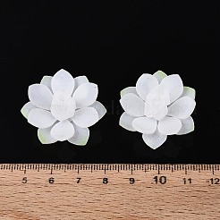 Термоусадочные акриловые колпачки&nbsp;OACR-N155-01