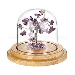 Vitrinen mit Glockenkuppel aus klarem Glas&nbsp;DIY-PH0028-89B
