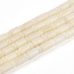 Натуральный белый опал африканские бусы пряди G-N346-03A-10