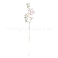 Стеклянные бусины GLAA-K060-05G-04