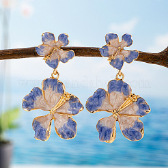 Boucles d'oreilles en alliage d'émail pour femmes&nbsp;WG594FD-01