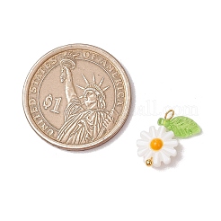 4 шт. 4 стиля подвески из натуральной пресноводной ракушки с эмалью PALLOY-JF03480