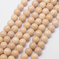 Perles fossiles, teinte, ronde, blanc, 10mm, Trou: 0.8mm, Environ 40 pcs/chapelet, 16 pouce