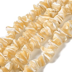 Brins de perles de coquillages naturels de troca, pépites, 5~25.5x4~7x2~6mm, Trou: 0.8mm, Environ 250~270 pcs/chapelet, 35.43''~36.22'' (90~92 cm)