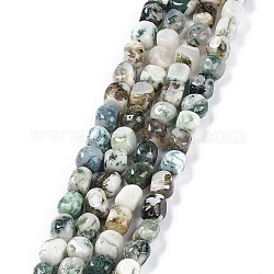 Albero naturale agata perline fili, pepite di pietra burattata, 6.5~15x7~14x7~14mm, Foro: 1~1.4 mm, circa 32~33pcs/filo, 15.16~ 15.75 pollice (38.5~40 cm)