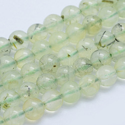 Natural Prehnite Beads Strands, Round, Grade A-, 6~6.5mm, Hole: 1mm, about 64pcs/strand, 15.5 inch(39.5cm)