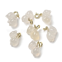 Agata naturale decorazioni ciondolo, ornamento di gemme di orso con fermagli ad anello a molla in ottone, vero placcato oro 14k, 24mm, Foro: 3 mm