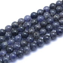 Fili di perle di iolite / cordierite / dicroite naturali, tondo, 8~8.5mm, Foro: 0.8 mm, circa 50pcs/filo, 15.55 pollice (39.5 cm)