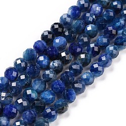 Natürliche kyanite Perlen Stränge, facettiert, Runde, 6 mm, Bohrung: 0.9 mm, ca. 68 Stk. / Strang, 15.35 Zoll (39 cm)