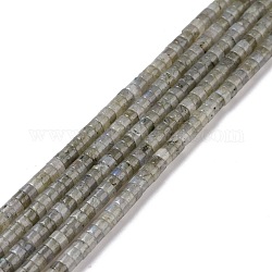 Perline labradorite naturale fili, rotondo e piatto, 4x2mm, Foro: 1 mm, circa 169pcs/filo, 14.96'' (38 cm)