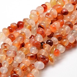Brins de perles de pépites de pierres précieuses naturelles de cornaline teinte, 6~10x9~12x8~10mm, Trou: 1mm, environ 15.3 pouce ~ 15.7 pouces