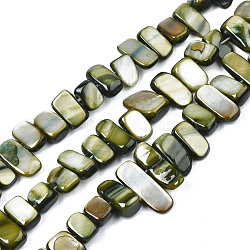 Fili di perle di conchiglia trochid naturale / trochus, tinto, rettangolo, verde oliva scuro, 6~11x6~36x1~7mm, Foro: 1 mm, circa 45~55pcs/filo, 14.96 pollice ~ 15.35 pollici (38 cm ~ 39 cm)