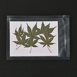 Ahornblattprägung getrocknete Blume, für Handy, Fotorahmen, Scrapbooking DIY Handarbeit, olivgrün, 55~82x35~57 mm, 6 Stück / Beutel