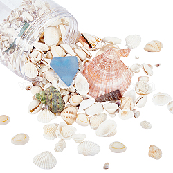 Perle di conchiglie naturali e perle di scaglie di vetro marino, perline non forate / Senza Buco, colore misto, 500 g / scatola