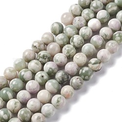 Natürliche Frieden Jade Perlen Stränge, Runde, 8 mm, Bohrung: 1.2 mm, ca. 46 Stk. / Strang, 14.96 Zoll (38 cm)