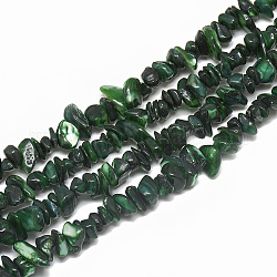 Shell perle d'acqua dolce fili, tinto, pezzo, verde scuro, 4~14x4~8x1~8mm, Foro: 1 mm, circa 210~250pcs/filo, 31.4 pollice