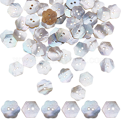 Gorgecraft 80 pièces 2 boutons de coque à 2 trous de style, hexagone et fleur, couleur de coquillage, 11~13x12.5~13x0.5~1mm, Trou: 1.5~1.6mm, 40 pièces / style