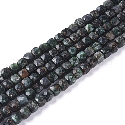 Perles naturelles SERAPHINITE brins, facette, cube, 4.5~5x4.5~5x4.5~5mm, Trou: 0.8mm, Environ 80 pcs/chapelet, 15.35 pouce (39 cm)