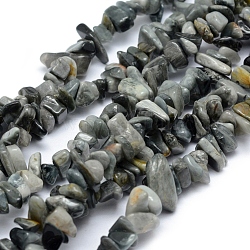 Fili di perle di occhio di falco naturale, pietra occhio d'aquila, pezzo, 5~8mm, Foro: 1 mm, circa 33 pollice (84 cm)