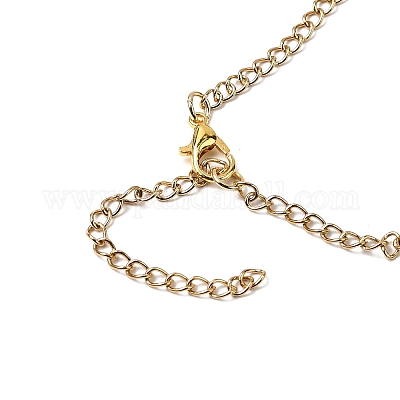 Ожерелья из нержавеющей стали 304 NJEW-FS00002-1