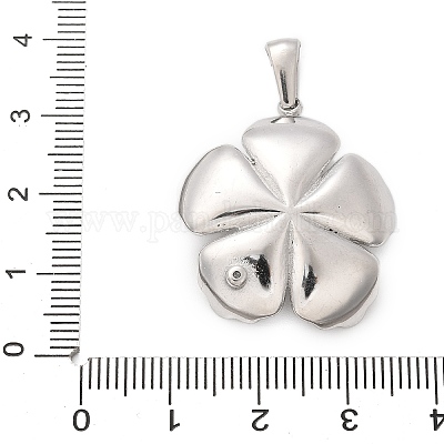 Подвески из нержавеющей стали 304 STAS-Q349-01A-P-1