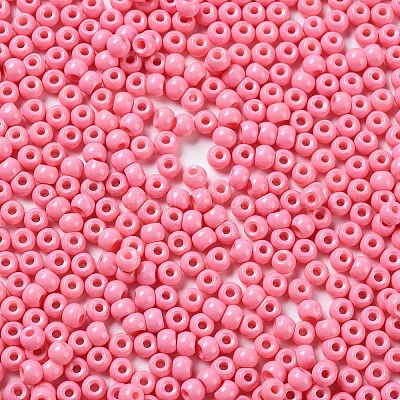 Выпечка краска стеклянные бусины&nbsp;SEED-H002-I-A504-1