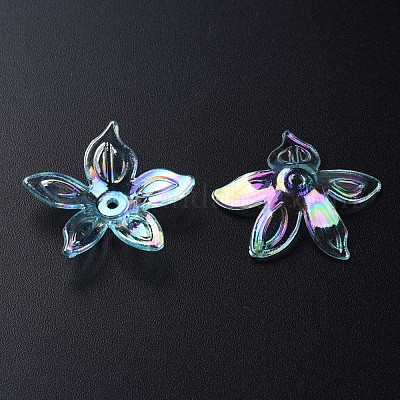 Прозрачные акриловые бусины MACR-S373-102-C05-1