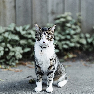 Алюминиевые подвески&nbsp;ALUM-BC0001-47-1