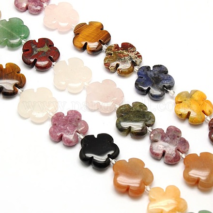 Mixed Natural Gemstone Flower Beads Strands G-L241B-07-1
