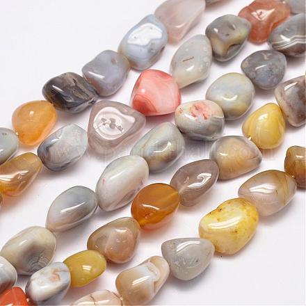 Natural Botswana Agate Beads Strands G-K126-B06-1