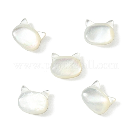 5 Stück natürliche weiße Muschelperlen BSHE-CJ0001-07-1