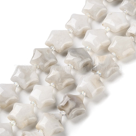 Fili di perline di agata pazza bianca naturale G-NH0005-019-1