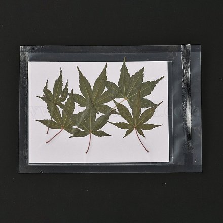 Кленовый лист тиснение сушеный цветок DIY-K032-63A-1